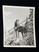 RARE 1954 Western GYPSY COLT LEE VAN CLEEF DEE 10X8 COWBOY MOVIE PRESS PHOTO