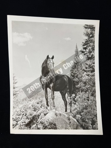 Rare 1954 western gypsy colt - western,