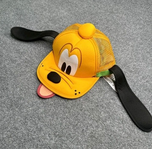 Disney magic kingdom pluto - kingdom,