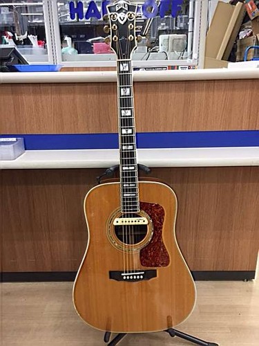 Guild d55 acoustic - guild, guitar