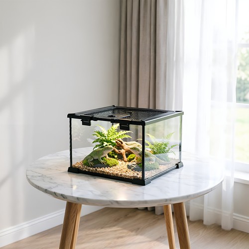 Reptile terrarium tropical - terrarium,