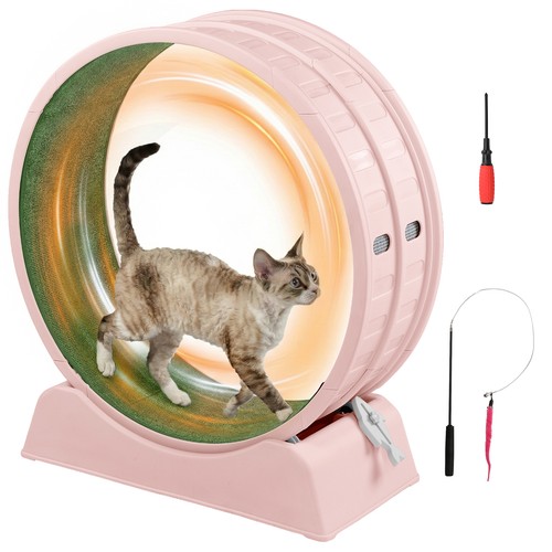 Cat exercise wheel - exercise, with