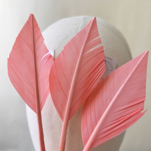 Loose turkey quill feathers - loose,