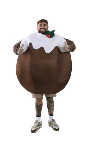 Christmas pudding novelty - christmas,