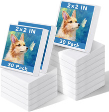 30 Pack Mini Painting Canvas