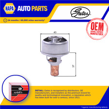 Coolant Thermostat fits