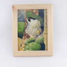 C. F. Tunnicliffe Peregrine Falcon Print 1 of 1 Handmade Somerset Cedar Frame Un