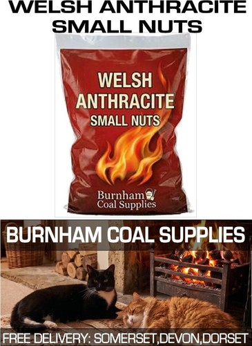 Premium welsh anthracite - welsh, free