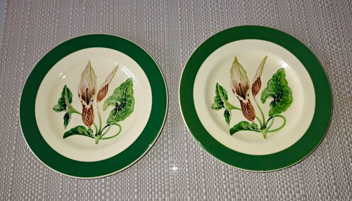 Myott molly day green rim - myott, o'day