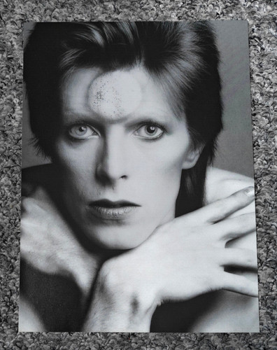 David bowie ziggy stardust - david,