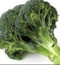 Broccoli, calabrese marathon x6 Plug Plants LETTERBOX FRIENDLY
