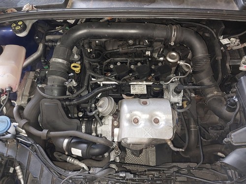 Engine ford focus - engine,