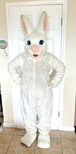 Bunny full mascot costume from - bunny,