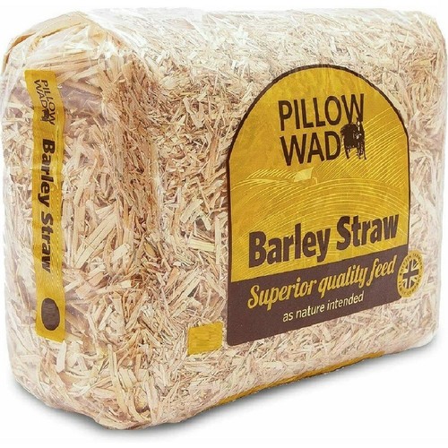 Pillow wad barley straw - pillow,