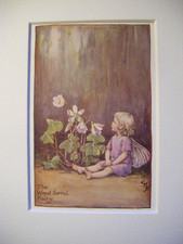 Vintage Flower Fairies Print &