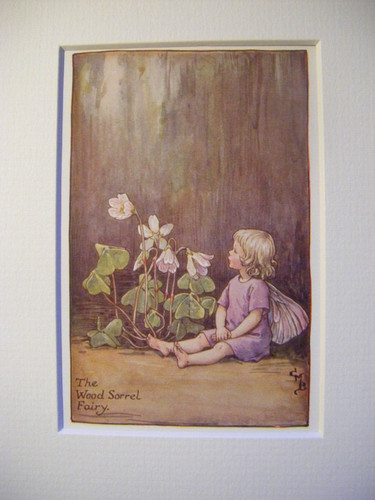 Vintage flower fairies - fairies, print