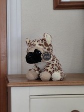 Paws Pug Dressed In leopard