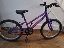 Apollo Envy Junior Bike