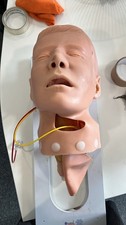 Economy Adult Airway Management Trainer Manikin Head for Training