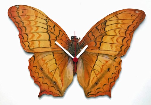 Vindula butterfly clock - vindula,