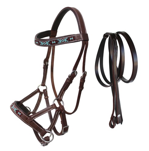 Horse western leather - leather, training