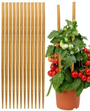 Strong Bamboo Sticks for