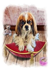 King Charles Spaniel Puppy Dog