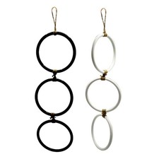 Snake Climbing Rings Snake