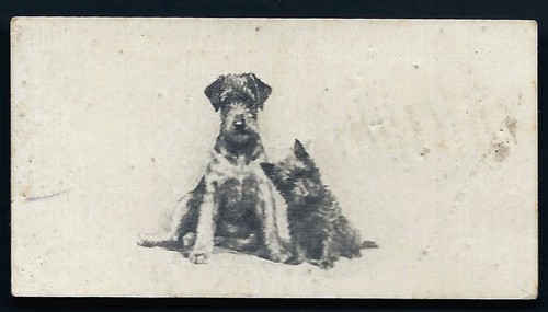Wills etchings - (o'seas),
