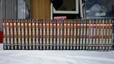 Berserk Manga Singles Volume