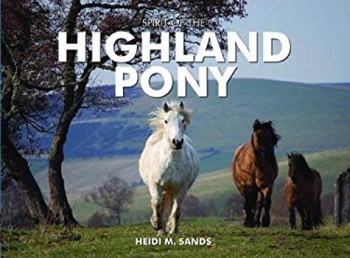 Spirit the highland pony - spirit,