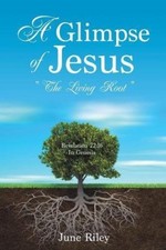 A Glimpse of Jesus - The