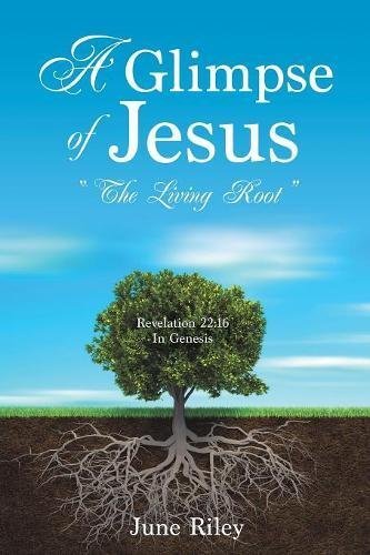 Glimpse jesus the - a,