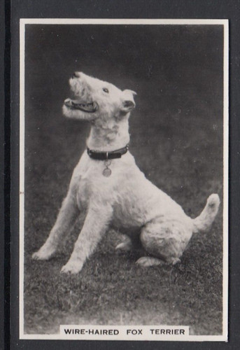 1939 pattreioux real photo - real,
