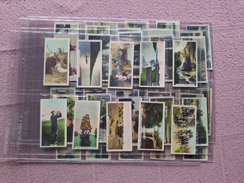 Complete set cavanders - set,