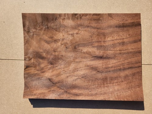 Walnut burr veneer - burr, –