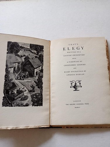 Gray elegy golden cockerel - elegy,