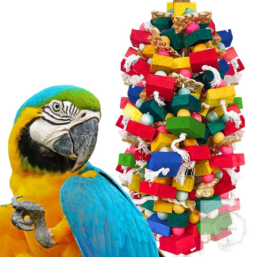 Extra large bird - large, for