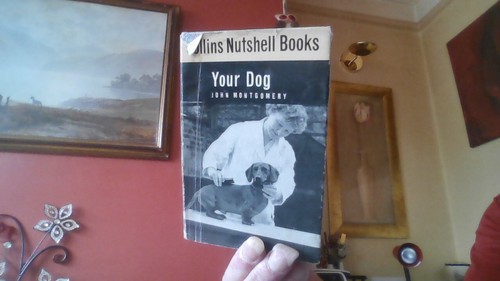 Collins nutshell books your - collins,