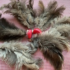 Vintage Hat Feathers Millinery