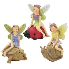 The Fairies Enchanted Garden