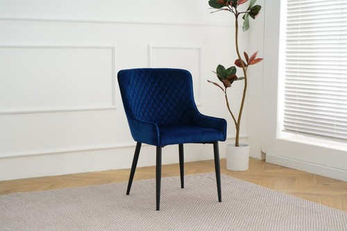 Navy velvet oxford fabric - x,