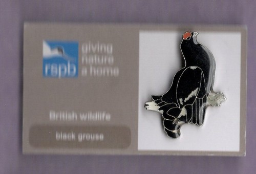 Rspb pin badge black - rspb,