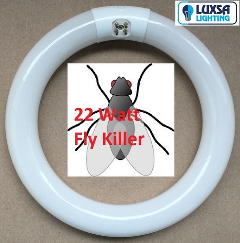 Fly killer black light - killer, 22w
