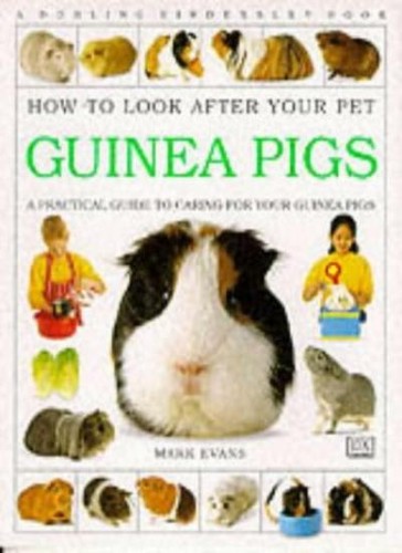 Guinea pigs how look - to,