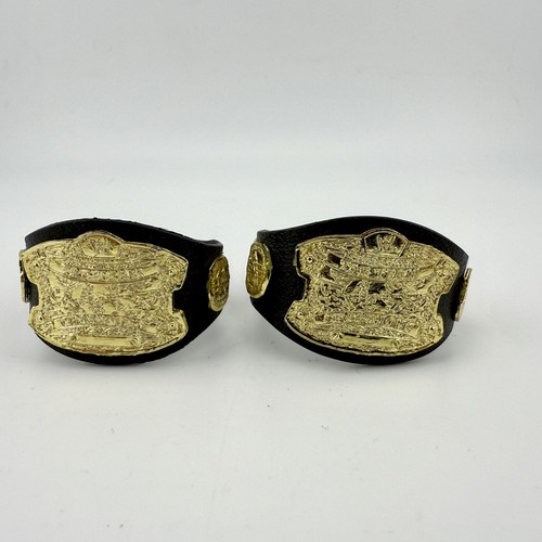 Wwe tag team championship - wwe,