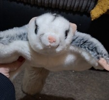 London Zoo Flying Squirrel
