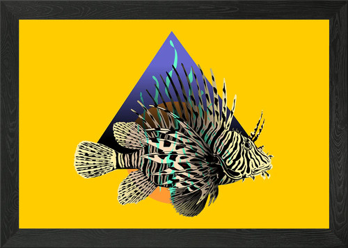 Lion fish framed - wall, art