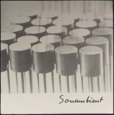 Harry Bertoia - Sonambient Space Voyage / Echoes Of Other Times on Black vinyl.