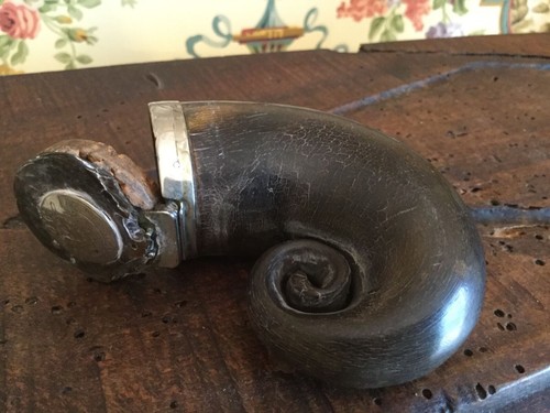 Antique scottish snuff horn - snuff, c